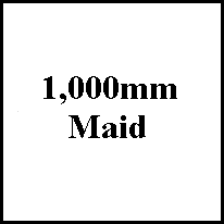 Meter Maid
